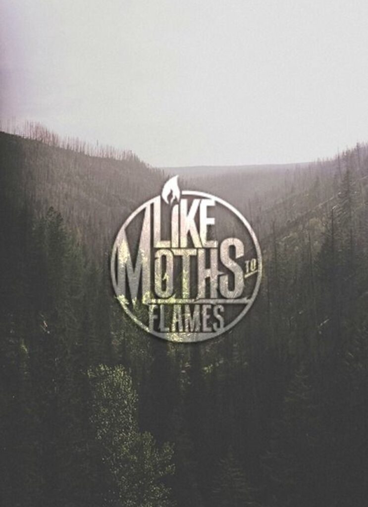 Like Moths to Flames Merch